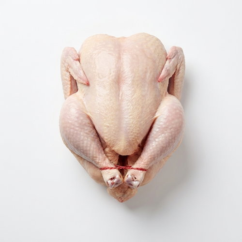 Poulet Beldi – Poulet Fermier - Agrément ONSSA