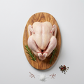 Poulet Beldi – Poulet Fermier - Agrément ONSSA